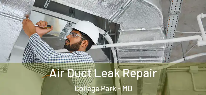 Air Duct Leak Repair College Park - MD