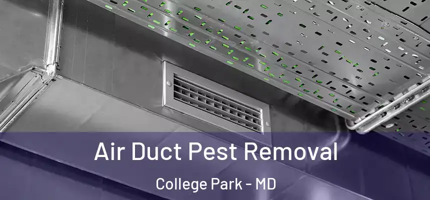 Air Duct Pest Removal College Park - MD