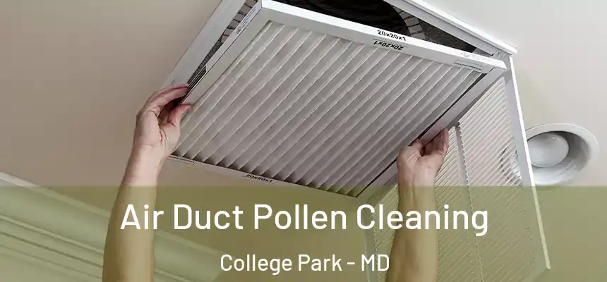 Air Duct Pollen Cleaning College Park - MD