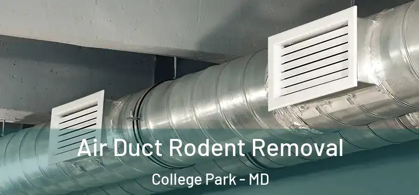  Air Duct Rodent Removal College Park - MD