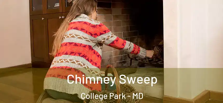 Chimney Sweep College Park - MD