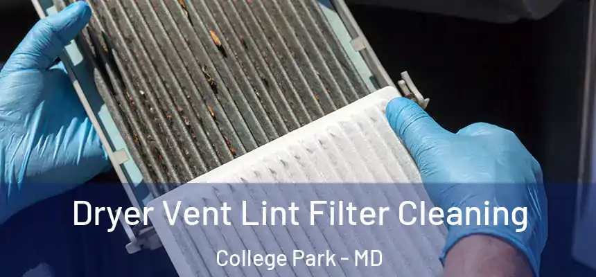 Dryer Vent Lint Filter Cleaning College Park - MD