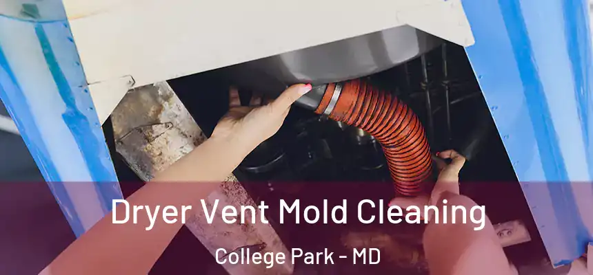  Dryer Vent Mold Cleaning College Park - MD