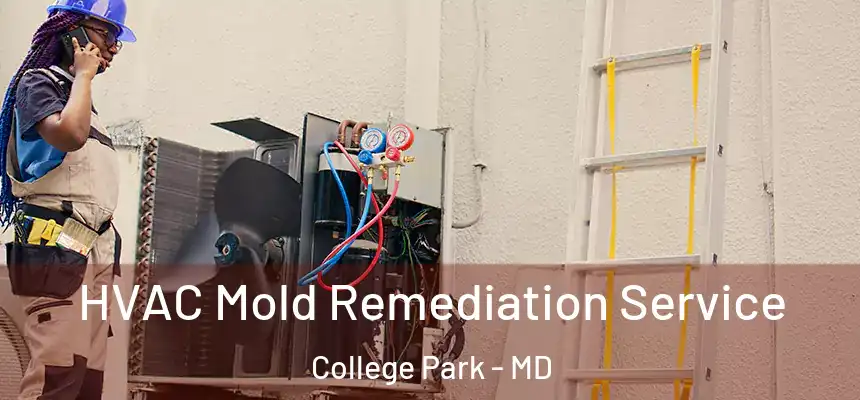 HVAC Mold Remediation Service College Park - MD