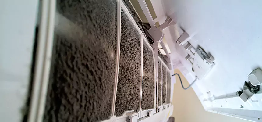 Preventive Air Duct Bacteria Removal in College Park