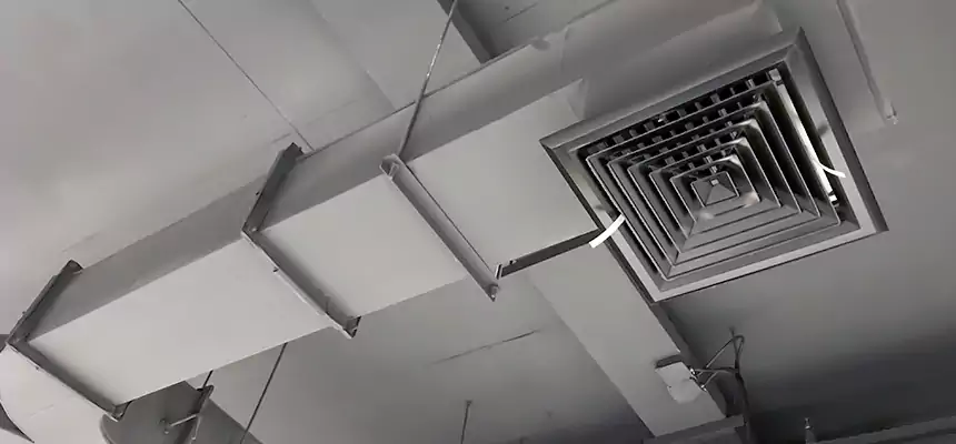 Restorative Allergy Relief Vent Cleaning – Coil, Blower & Housing Detail in College Park