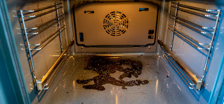 Our Dryer Vent Mold Cleaning Services in College Park, MD