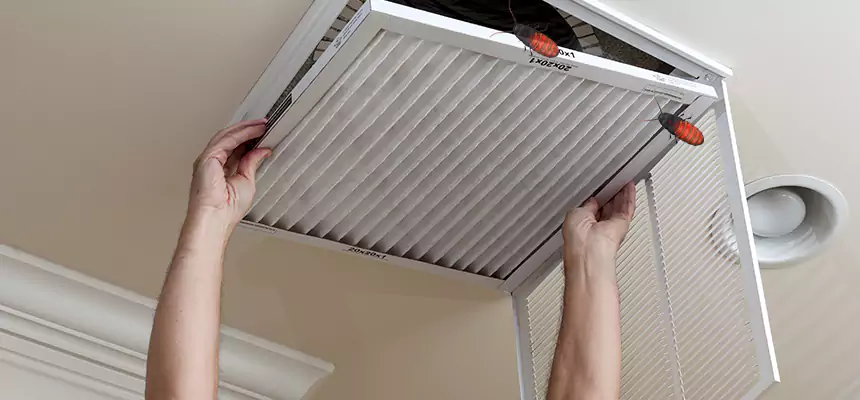 Our Insect Removal from Air Ducts Services in College Park, MD