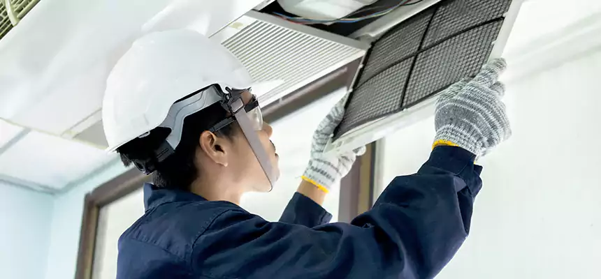 Our Mold & Mildew Removal from Air Ducts Services in College Park, MD