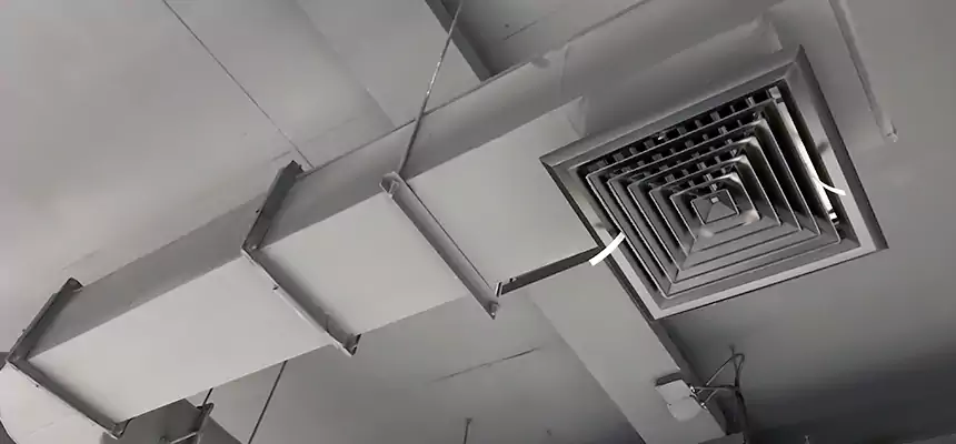 Our Pest Removal From Ducts Services in College Park, MD