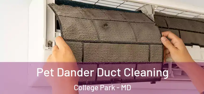  Pet Dander Duct Cleaning College Park - MD