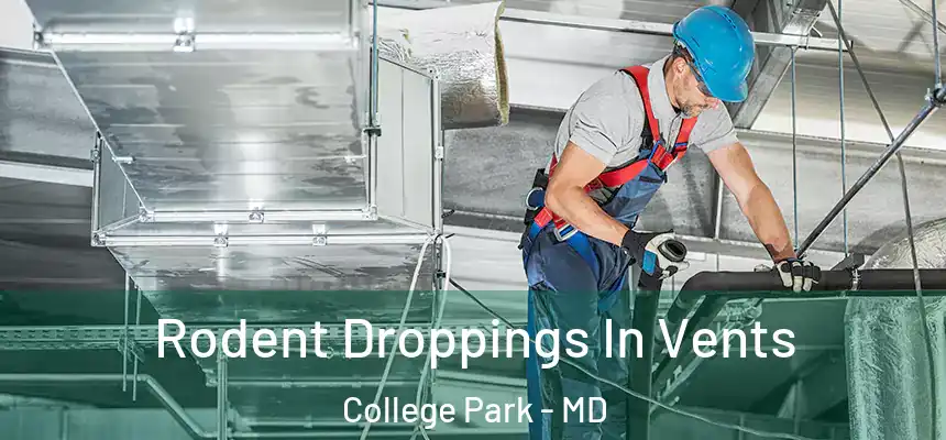  Rodent Droppings In Vents College Park - MD