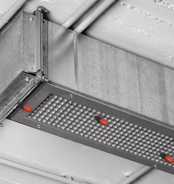 About Air Duct Cockroach Removal in College Park, MD
