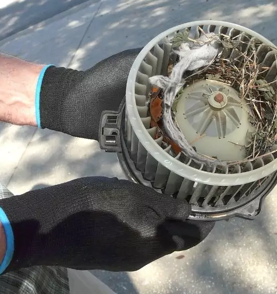 About Air Duct Mice Removal in College Park, MD