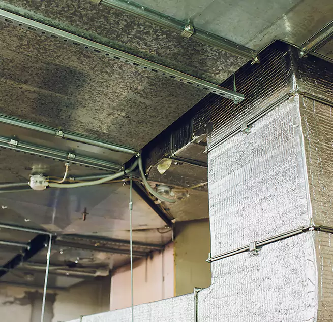 Why Homeowners & Businesses Trust Us in College Park, MD?